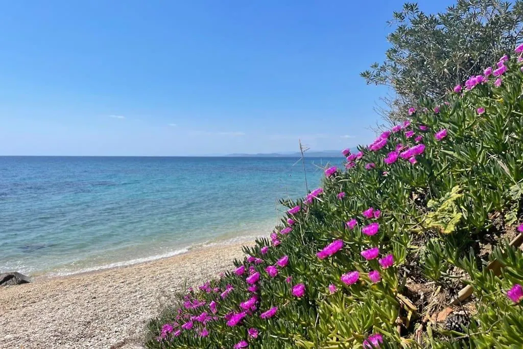 Elia Sea View Apartments 1 Греция